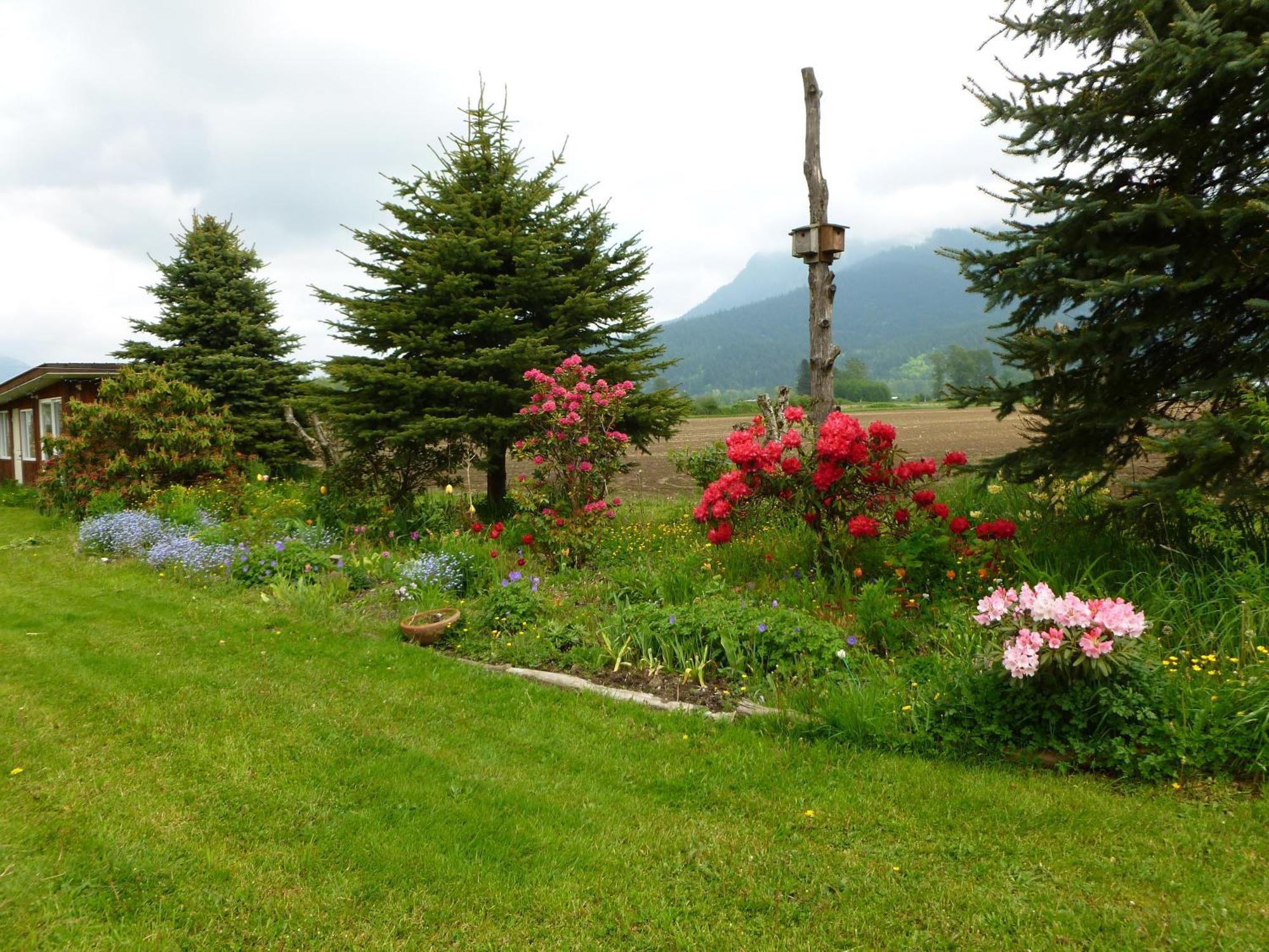 Harrison Hammond House Farmstay Harrison Mills Dış mekan fotoğraf