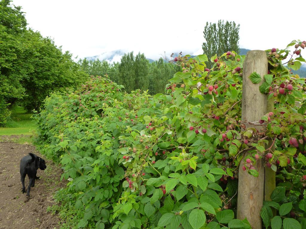 Harrison Hammond House Farmstay Harrison Mills Dış mekan fotoğraf