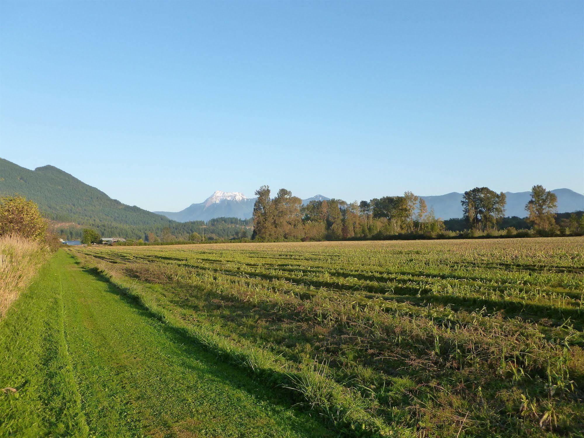 Harrison Hammond House Farmstay Harrison Mills Dış mekan fotoğraf